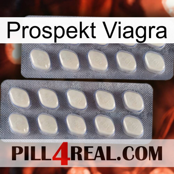 Prospecto Viagra 07.jpg